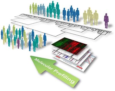 Taxonomy Meets Neurology, the Case of Amyotrophic Lateral Sclerosis